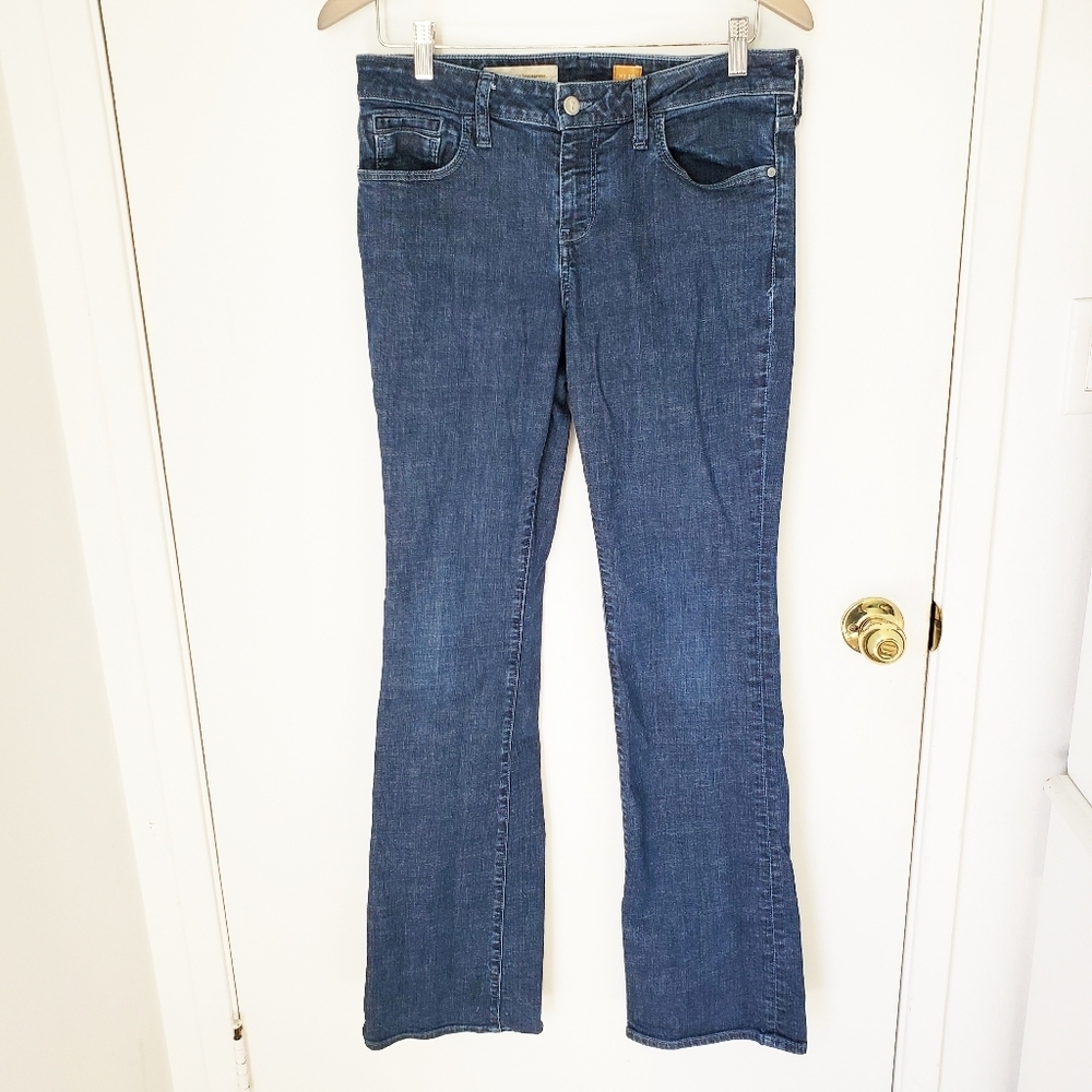 Pilcro and the Letterpress  STET jeans‎ bootcut strechy dark wash size 29
